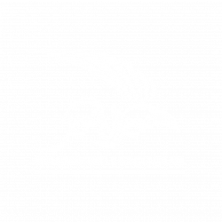 logo nurilanwar white